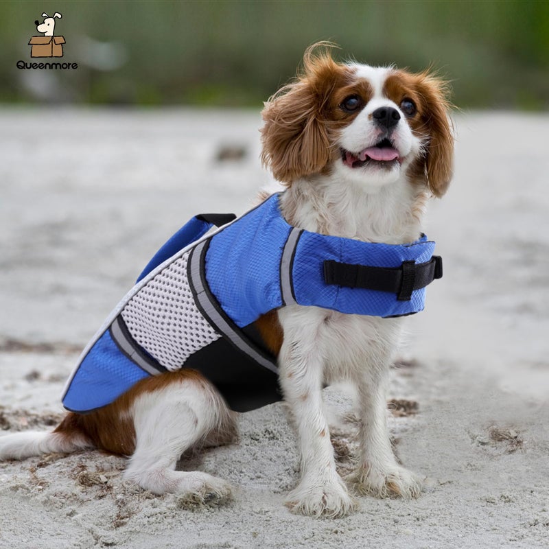 Queenmore Dog Life Jacket Swimming Vest Lightweight High Reflective Pet Lifesaver with Lift Handle, Leash Ring Blue,S - Image 5